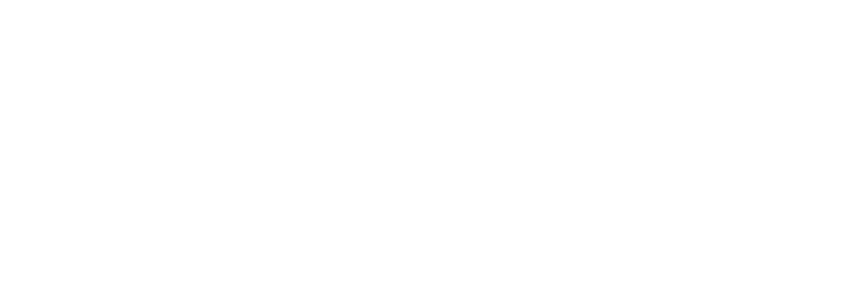 Ann Louise Peiss Light Logo